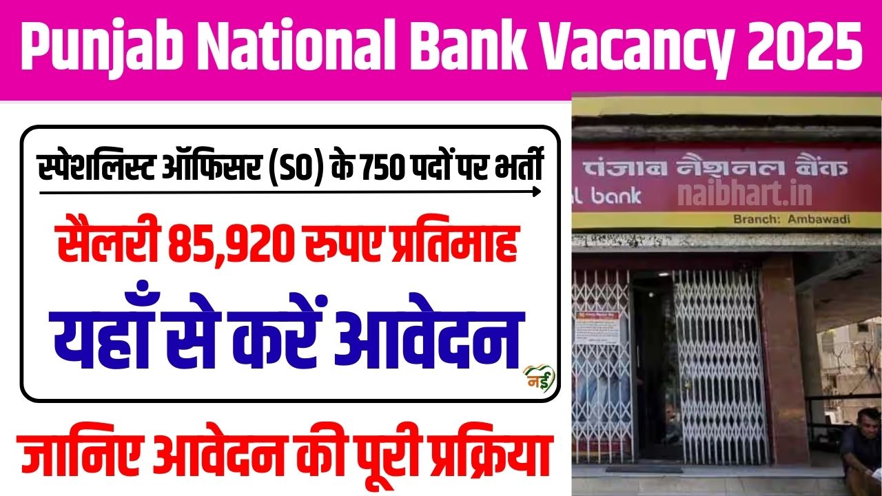 Punjab National Bank Vacancy 2025