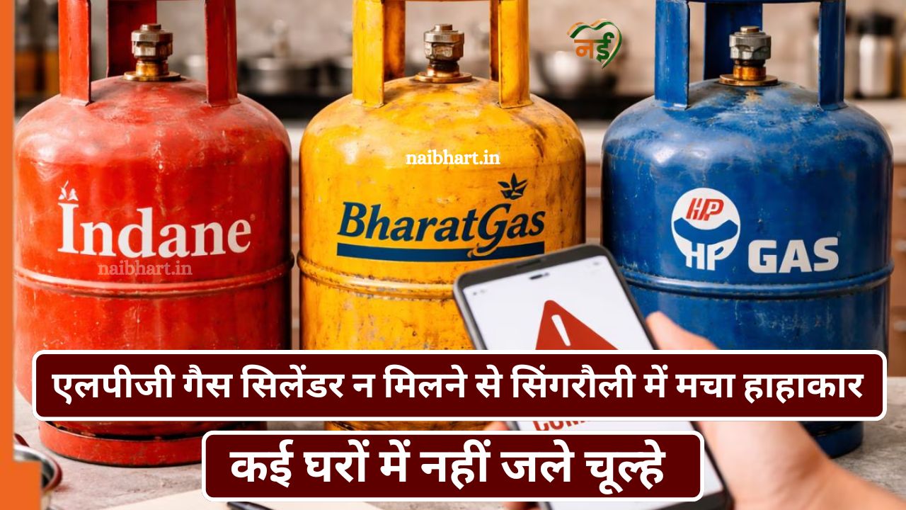 Singraul LPG Gas Cylinder News